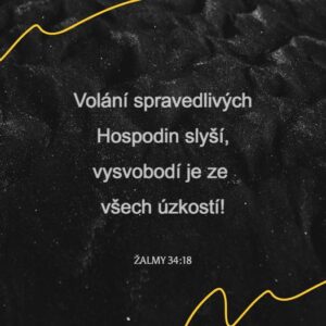 371952810_10229015246378498_8531273657337239326_n