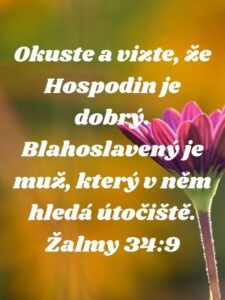 385057552_220532251036979_5296226550579686550_n