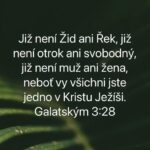 549523779_709500498806816_2426316151803567043_n