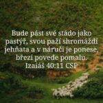 558559144_720272461062953_8930301285849965979_n