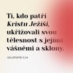 561227911_725566327200233_8296762756411418705_n