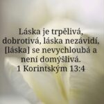 561720535_729377896819076_622797403874334138_n