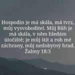 564130801_730266530063546_3147630578810038713_n