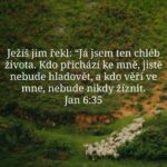 565668973_733638569726342_6925781744101828276_n