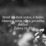 565775443_736165056140360_2011906298170813652_n